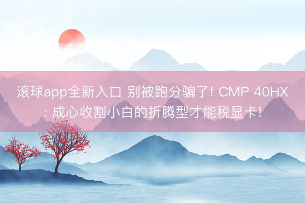 滚球app全新入口 别被跑分骗了! CMP 40HX: 成心收割小白的折腾型才能税显卡!