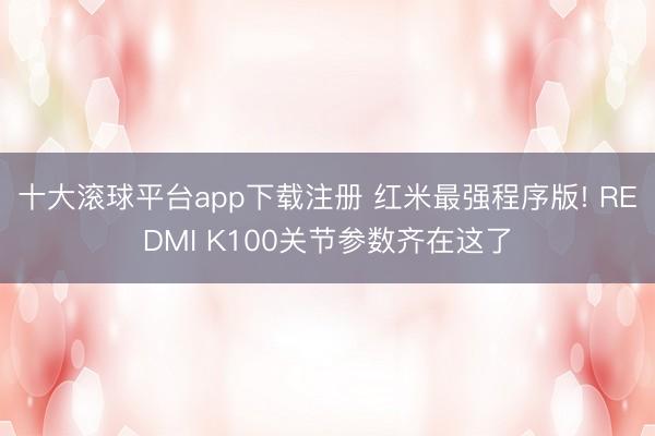 十大滚球平台app下载注册 红米最强程序版! REDMI K100关节参数齐在这了