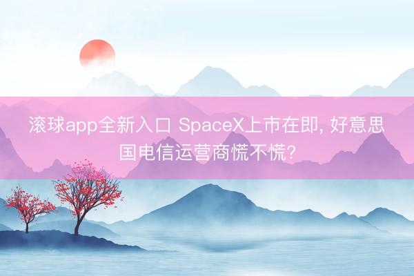 滚球app全新入口 SpaceX上市在即, 好意思国电信运营商慌不慌?
