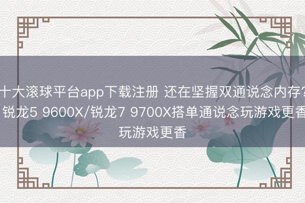 十大滚球平台app下载注册 还在坚握双通说念内存? 锐龙5 9600X/锐龙7 9700X搭单通说念玩游戏更香