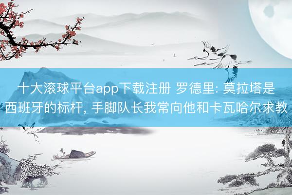 十大滚球平台app下载注册 罗德里: 莫拉塔是西班牙的标杆, 手脚队长我常向他和卡瓦哈尔求教