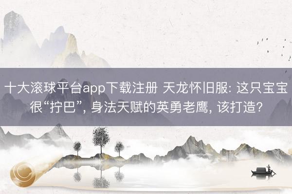 十大滚球平台app下载注册 天龙怀旧服: 这只宝宝很“拧巴”, 身法天赋的英勇老鹰, 该打造?