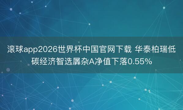 滚球app2026世界杯中国官网下载 华泰柏瑞低碳经济智选羼杂A净值下落0.55%