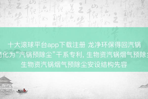 十大滚球平台app下载注册 龙净环保得回汽锅预除尘安设可简化为“汽锅预除尘”干系专利, 生物资汽锅烟气预除尘安设结构先容