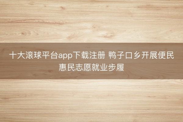 十大滚球平台app下载注册 鸭子口乡开展便民惠民志愿就业步履