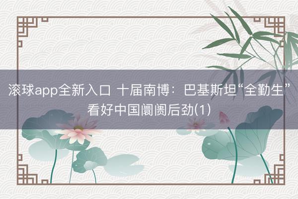 滚球app全新入口 十届南博：巴基斯坦“全勤生”看好中国阛阓后劲(1)