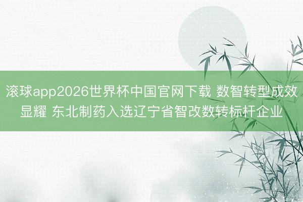 滚球app2026世界杯中国官网下载 数智转型成效显耀 东北制药入选辽宁省智改数转标杆企业