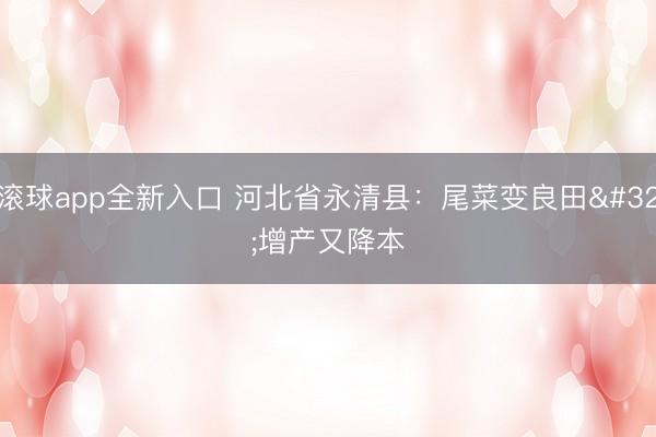 滚球app全新入口 河北省永清县:尾菜变良田 增产又降本
