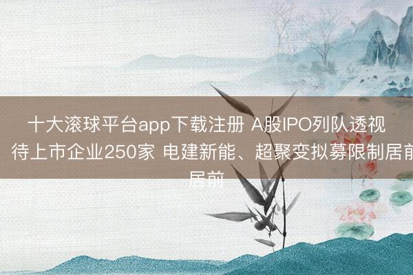 十大滚球平台app下载注册 A股IPO列队透视:待上市企业250家 电建新能、超聚变拟募限制居前